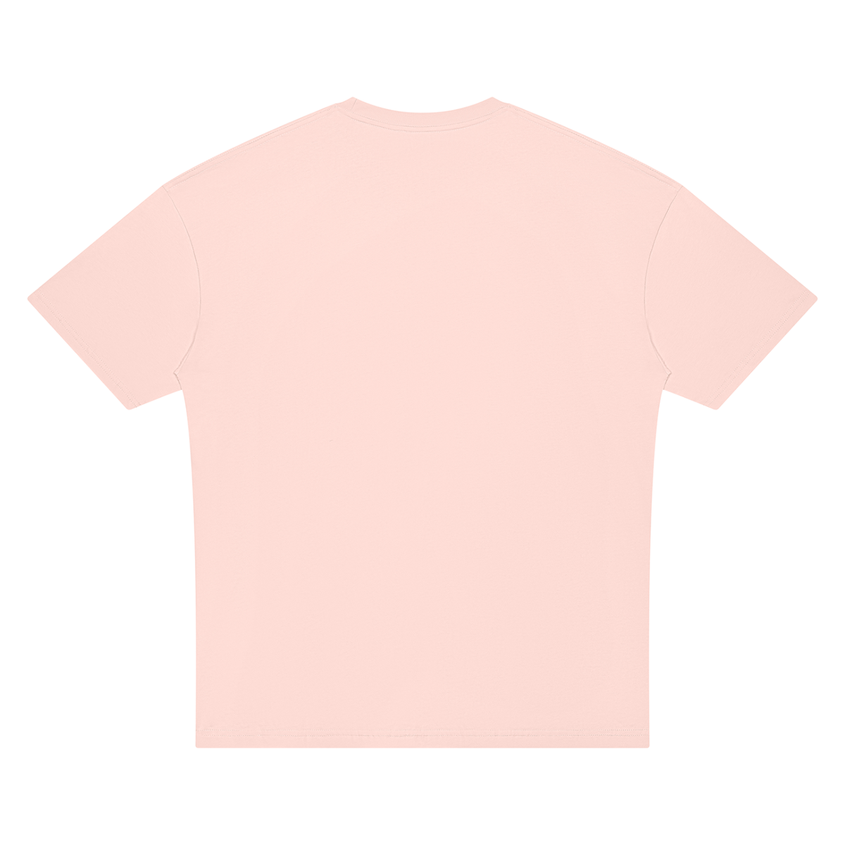 Loyalty Was Never an Option – Women's Graphic T-Shirt