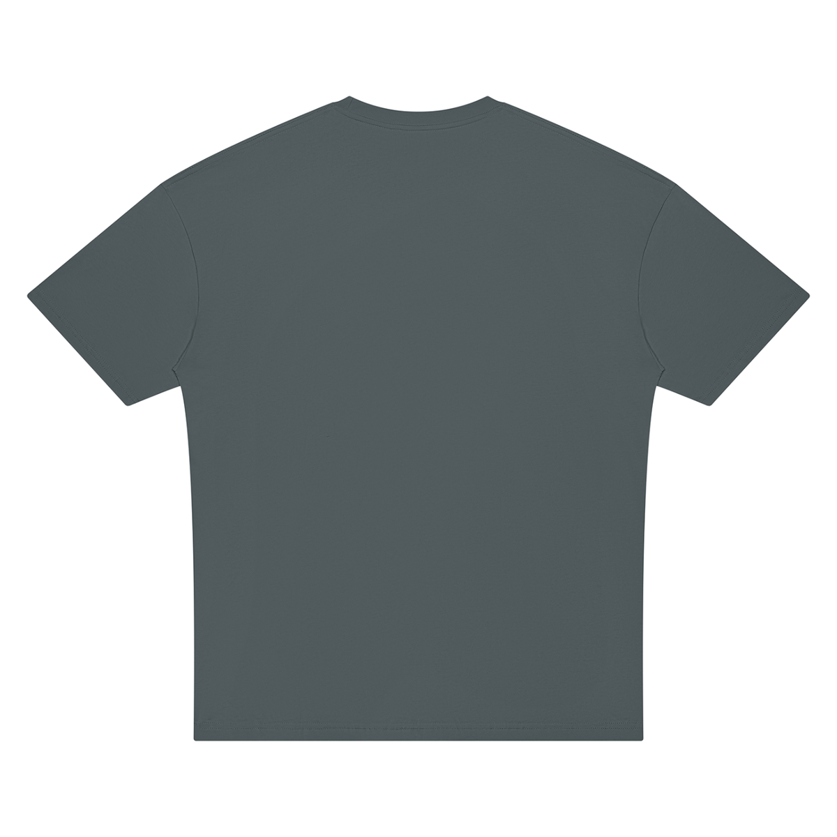 Loyalty Was Never an Option – Women's Graphic T-Shirt
